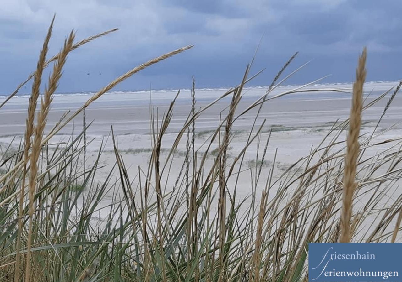 Friesenhain Ferienwohnungen Sankt Peter-Ording Exteriér fotografie